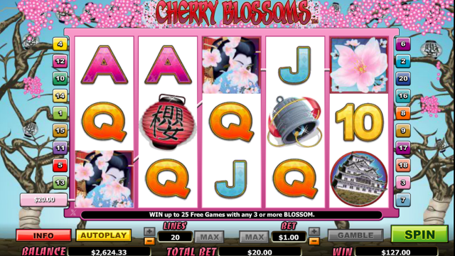 Cherry Blossoms 8